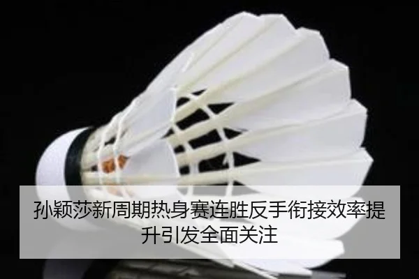 孙颖莎新周期热身赛连胜反手衔接效率提升引发全面关注